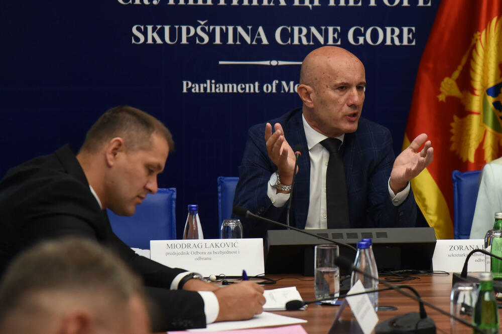 Šćepanović i Laković na jednoj od sjednica odbora, Foto: Luka Zeković