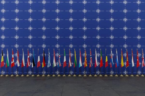 Slovenija napušta NATO?