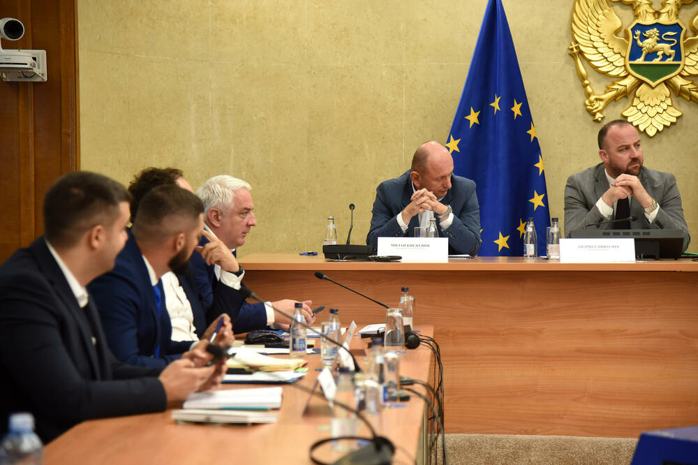 Sa jedne od sjednica Anketnog odbora, Foto: Luka Zeković