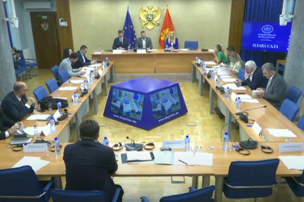 Foto: Skupština Crne Gore/Youtube