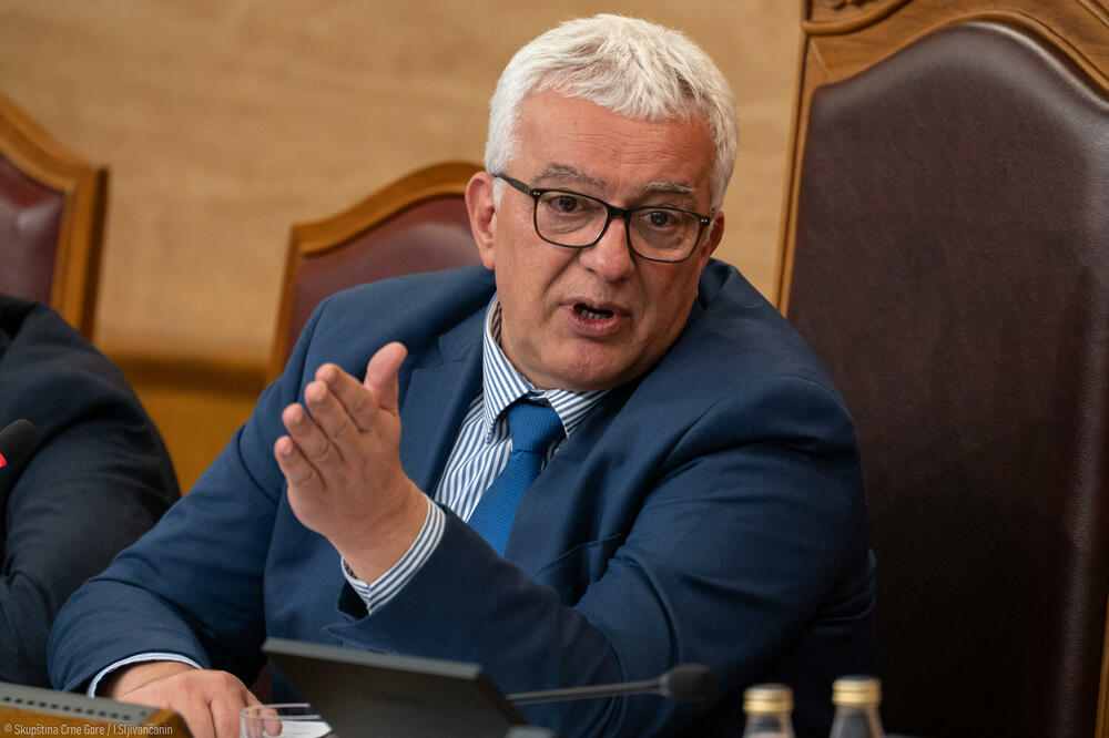 Jovanović optužio Mandića i NSD da su nalogodavci napada na njega: Mandić, Foto: Skupština Crne Gore