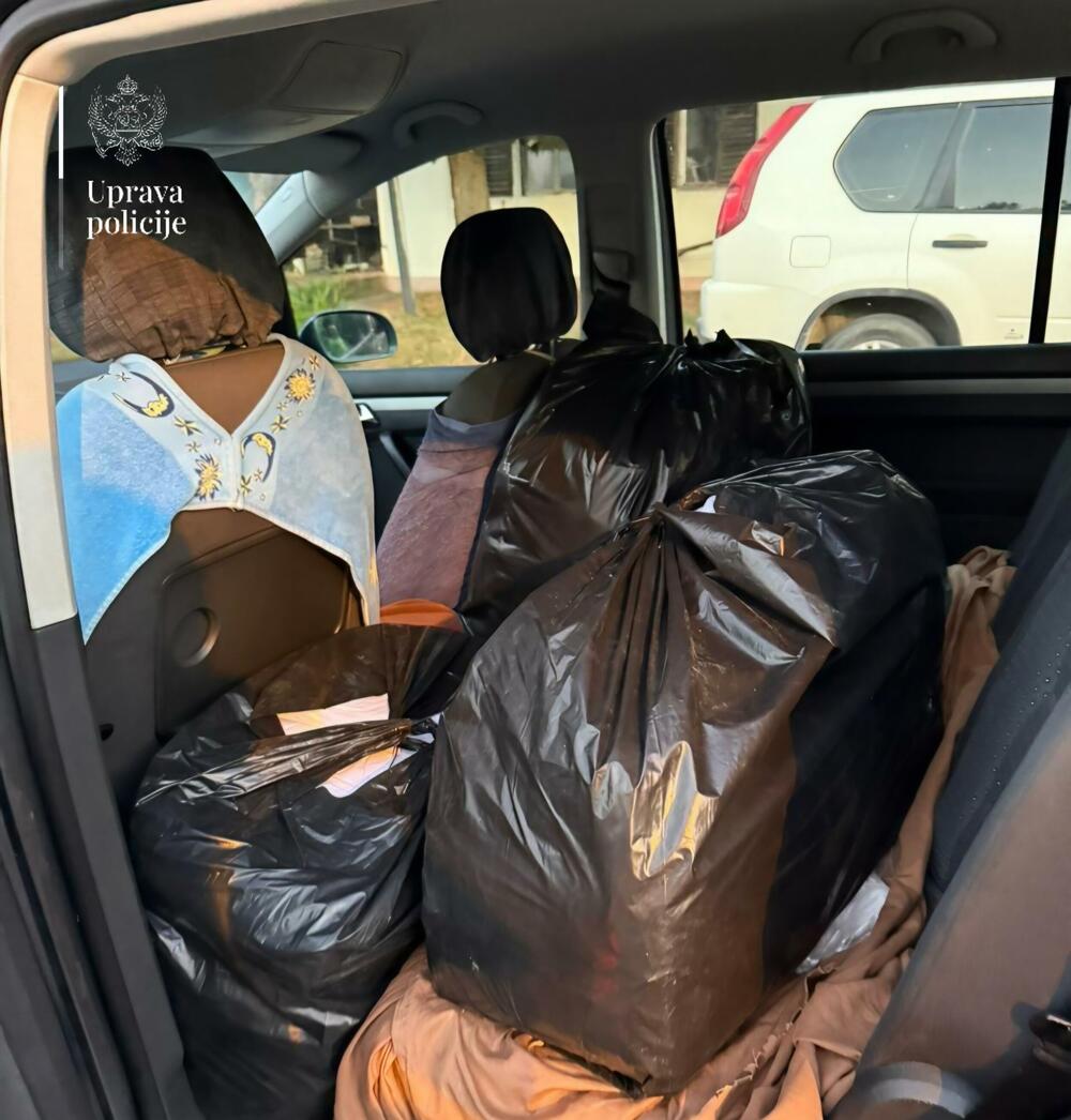 Uprava za gozdarstvo vložila kazenski prijavi zaradi nezakonite sečnje in prometa z lesom