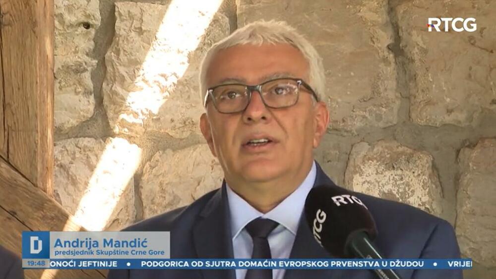 U Dnevniku, Mandić je govorio u dva priloga koja je emitovala RTCG, nijedan se nije bavio njegovim sinovcem