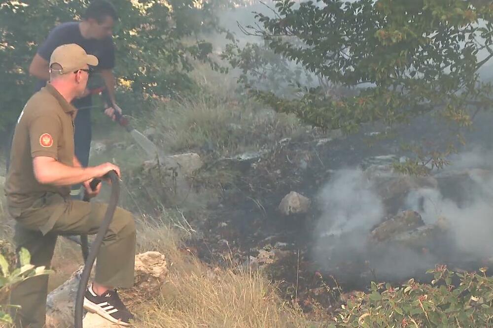 Gašenje požara na Lovćenu, Foto: Screenshot/TV Vijesti