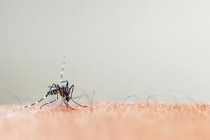 SZO izdala apel za sprečavanje ponavljanja epidemije: Virus...