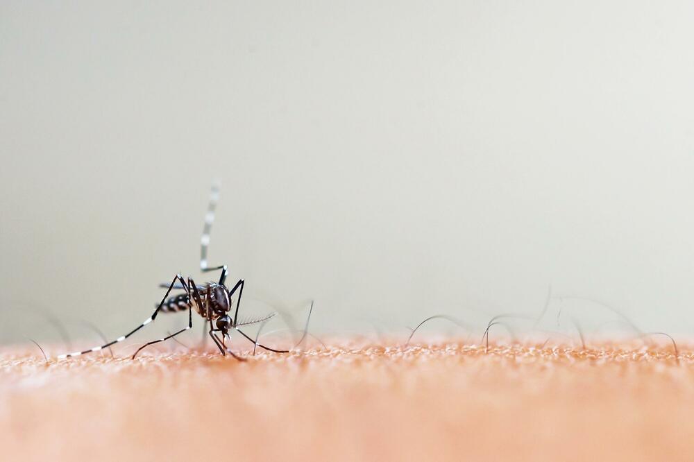 Ilustracija, Foto: Shutterstock