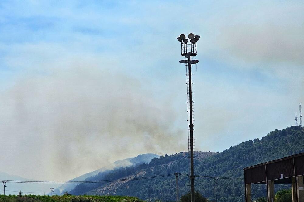 Foto: Marija Pešić