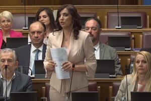 Jakšić Stojanović: Prvi put se eksplicitno definiše zabrana svakog...