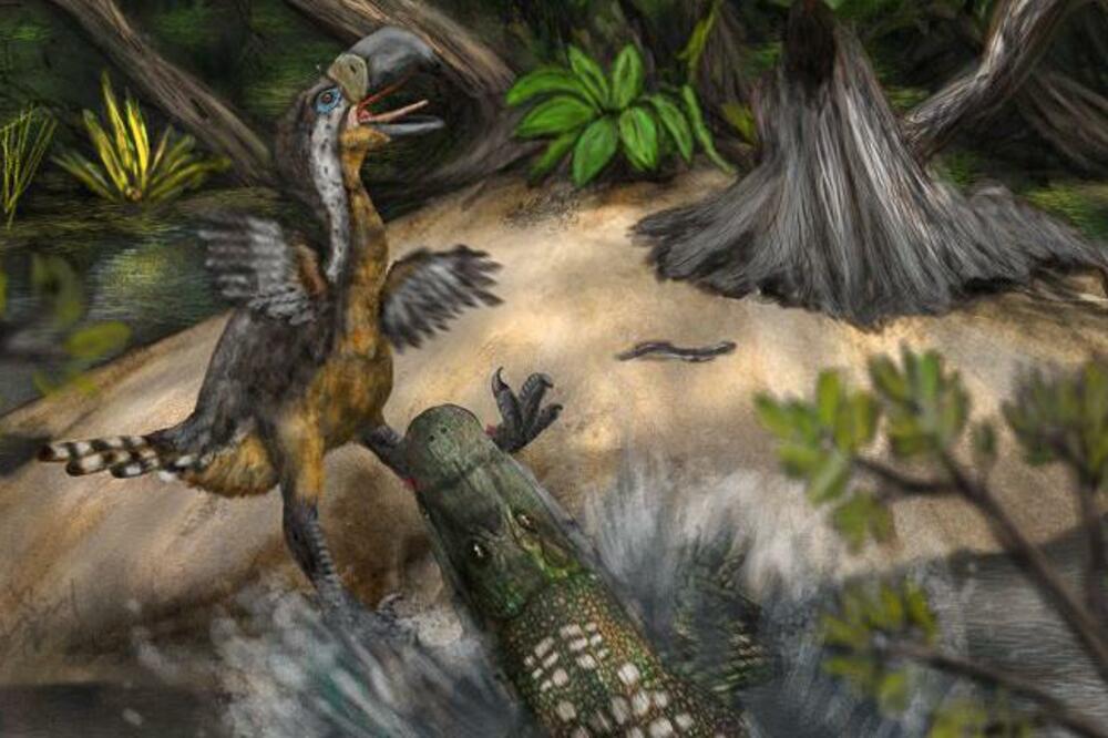 Foto: Link et al/Biology Letters