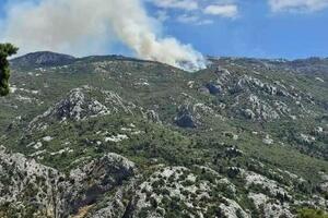 Na Lovćenu novi požari, stari se ponovo rasplamsao zbog vjetra