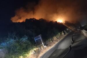 Požar na području Lovćena: Teren izuzetno nepristupačan, vjetar...