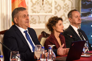 Neće biti rušenja starih bespravnih objekata, Radunović kaže da su...