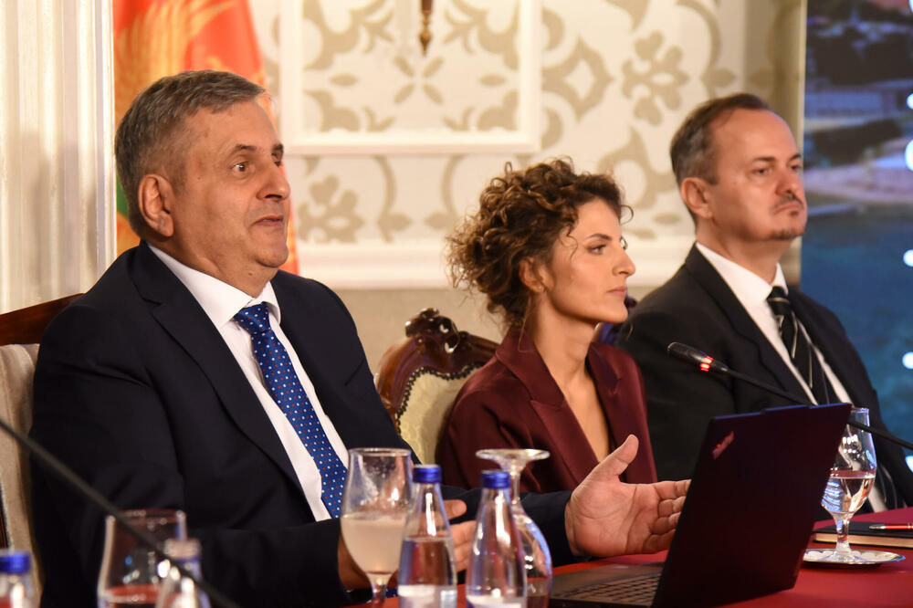 Radunović govori na konferenciji za medije, Foto: Luka Zeković