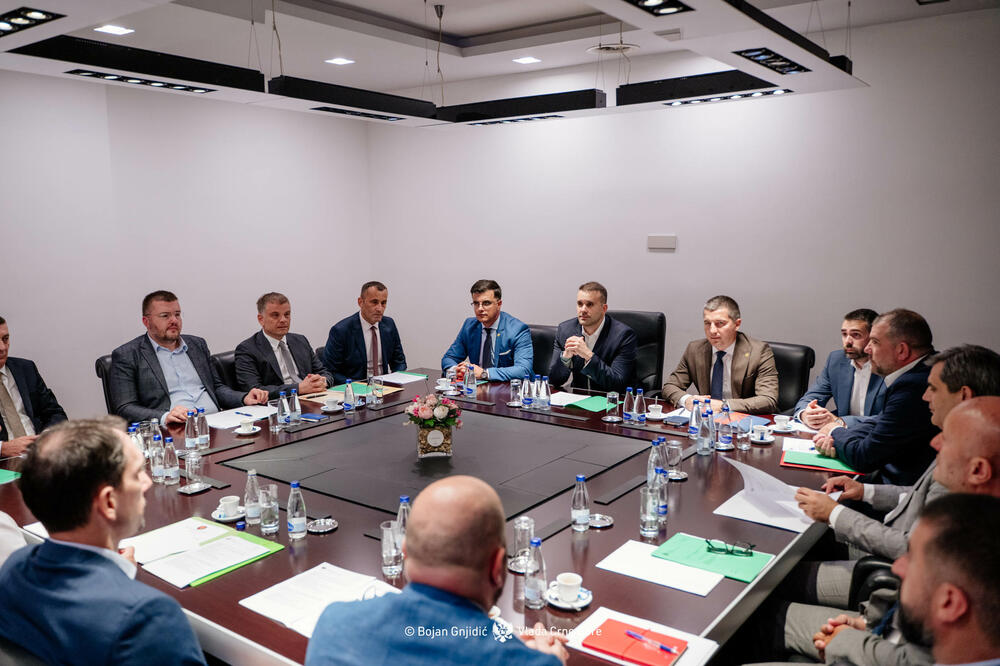 Sa sjednice Vijeća, Foto: Vlada Crne Gore