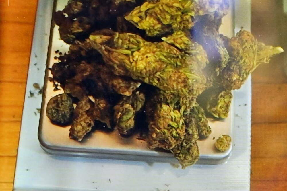 Pronađena materija za koju se sumnja da je marihuana, Foto: Uprava policije