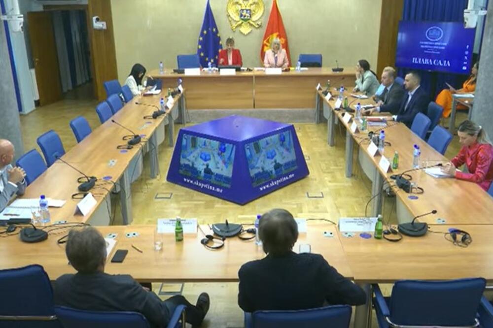 Detalj sa sjednice odbora, Foto: Screenshot/Skupština Crne Gore