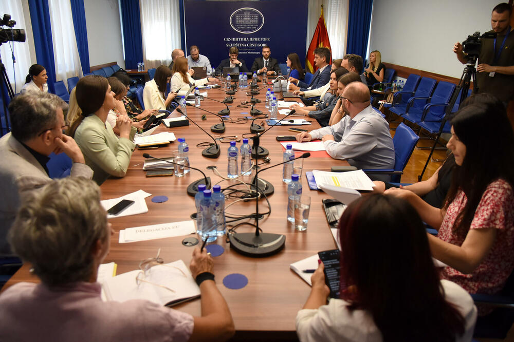 Sa okruglog stola, Foto: Luka Zeković