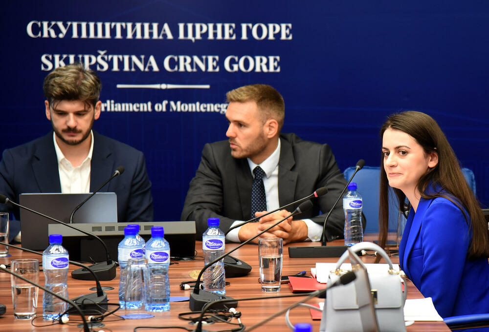 <p>Okrugli sto o izbornom zakonodavstvu u Skupštini Crne Gore</p>