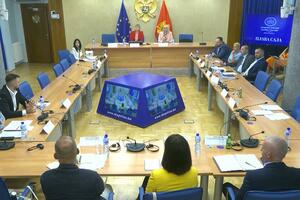 Saslušani Camović Veličković, Ljumović i Tatar, kandidati za...