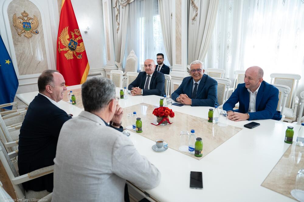 NSD: Istorijski sastanak srpskih i albanskih stranaka, duga...