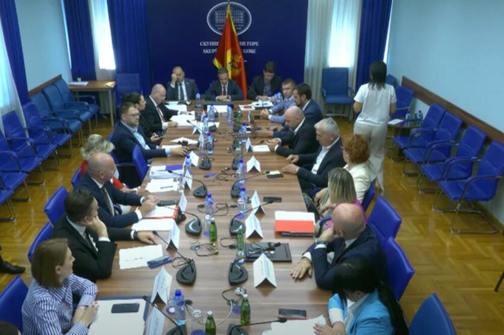 Foto: Screenshot/YouTube/Skuština Crne Gore