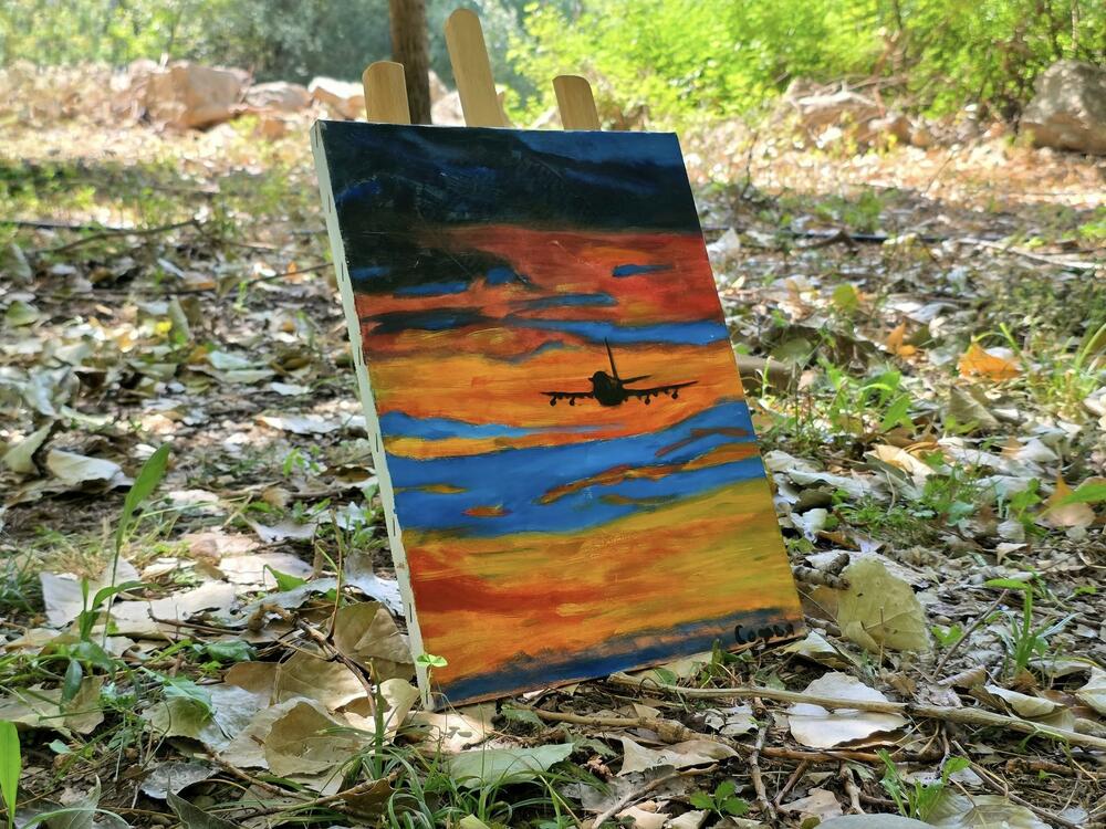 <p>Na Skadarskom jezeru danas otvorena slikarska kolonija koja traje do 28. jula i okuplja umjetnike iz Crne Gore, Srbije, Sjeverne Makedonije, BiH... </p>