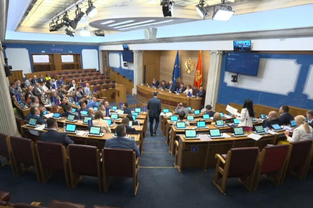 Foto: Skupština Crne Gore/Youtube