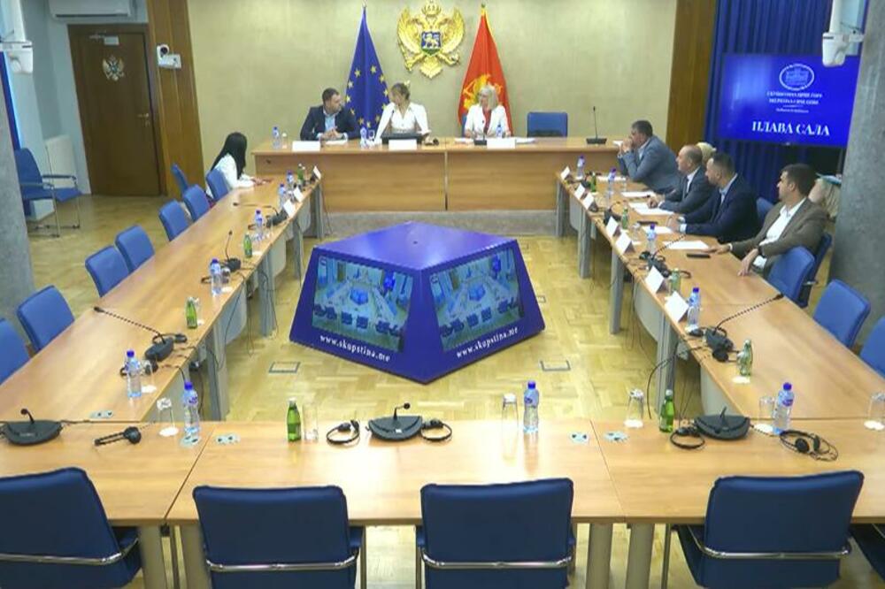 Administrativni odbor, Foto: Screenshot/Skupština Crne Gore