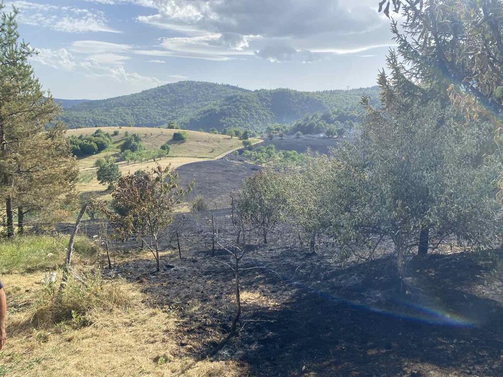 <p>I dalje su aktivni požari u Kozici i Srmećici, gdje gori šuma</p>