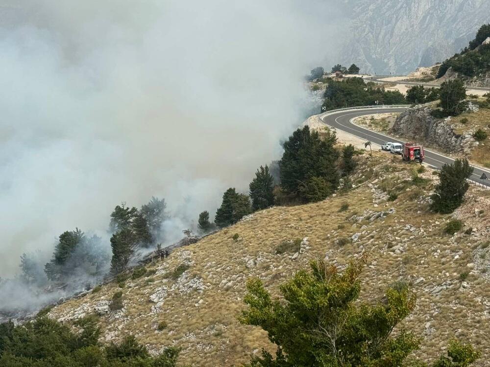 Požar na Lovćenu i dalje aktivan