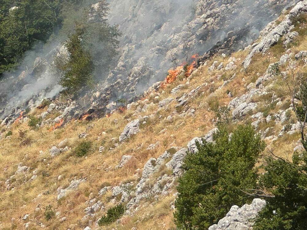 <p>Uprkos naporima sa zemlje i iz vazduha, vatra se povremeno razbuktava, otežavajući kontrolu nad situacijom</p>
