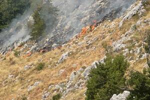 Ugašen požar na području Lovćena