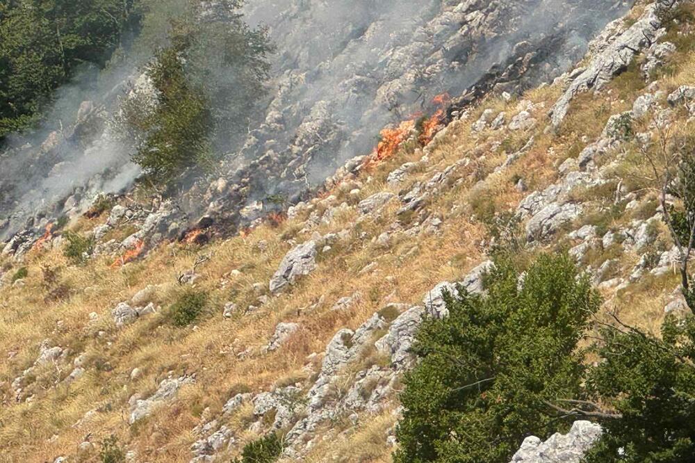 Požar na Lovćenu: Fotografija od 26. jula, Foto: Čitalac Vijesti