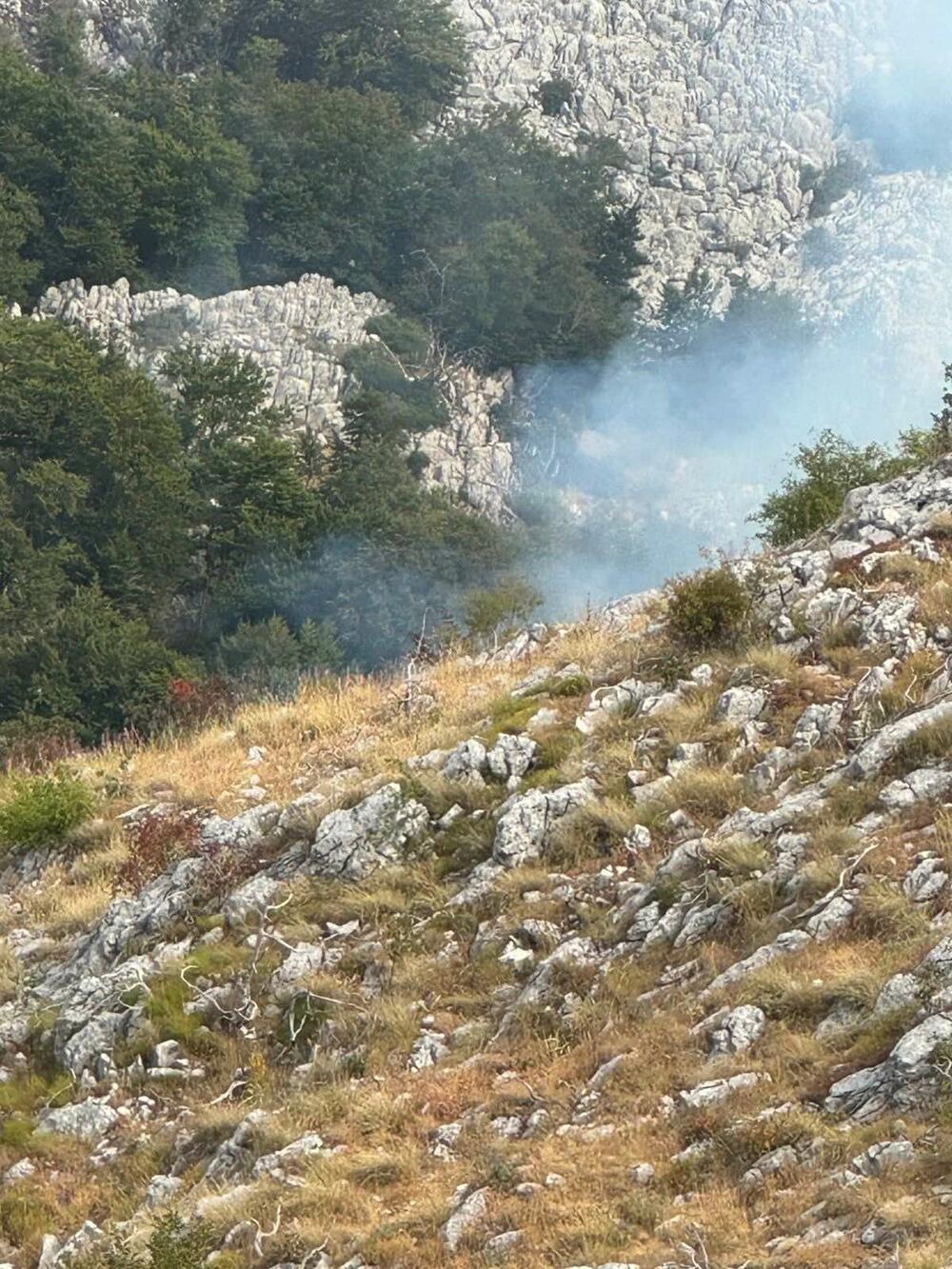 <p>Uprkos naporima sa zemlje i iz vazduha, vatra se povremeno razbuktava, otežavajući kontrolu nad situacijom</p>