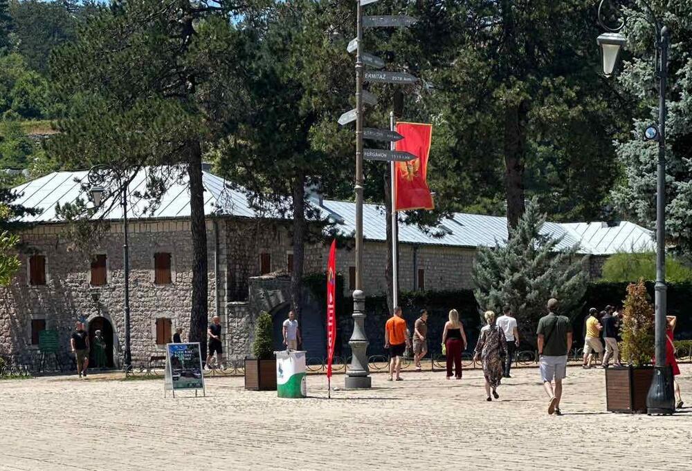 Cetinje: Policajac se ranio tokom intervencije zbog psa lutalice