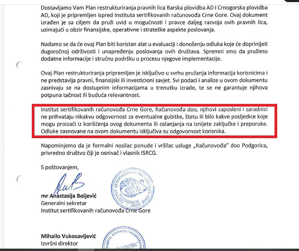 disclaimer u analizi