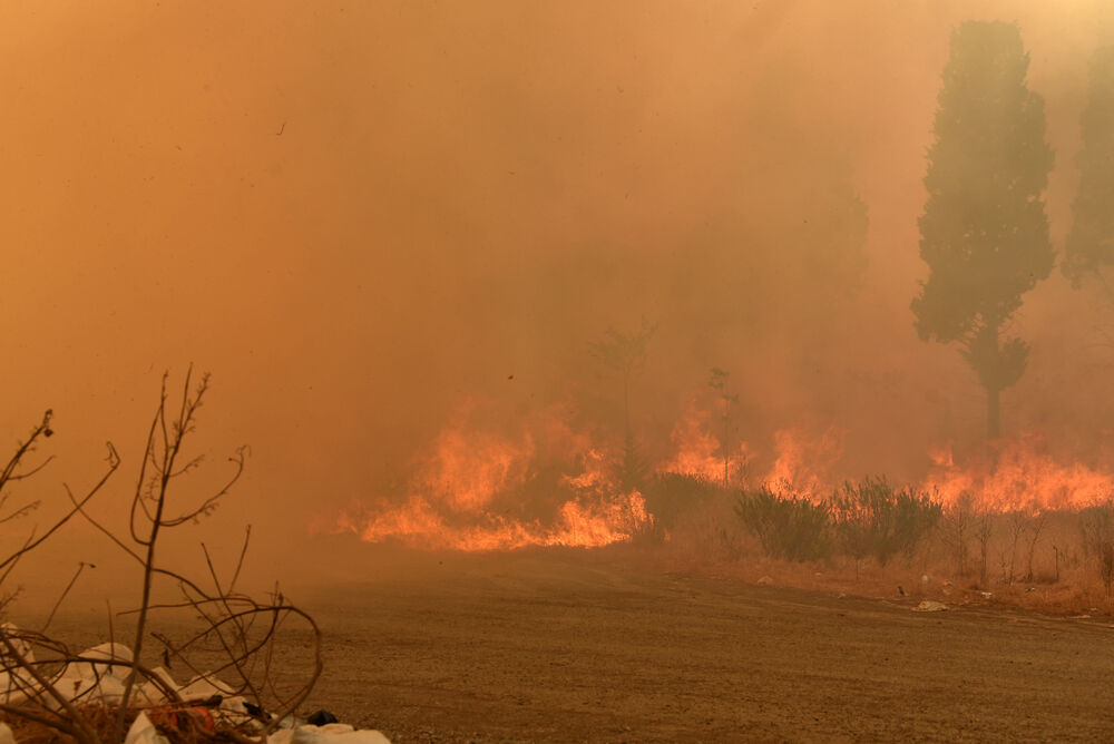 <p>Na teren su izašli svi raspoloživi kapacitieti Službe zaštite i spašavanja Glavnog grada</p>