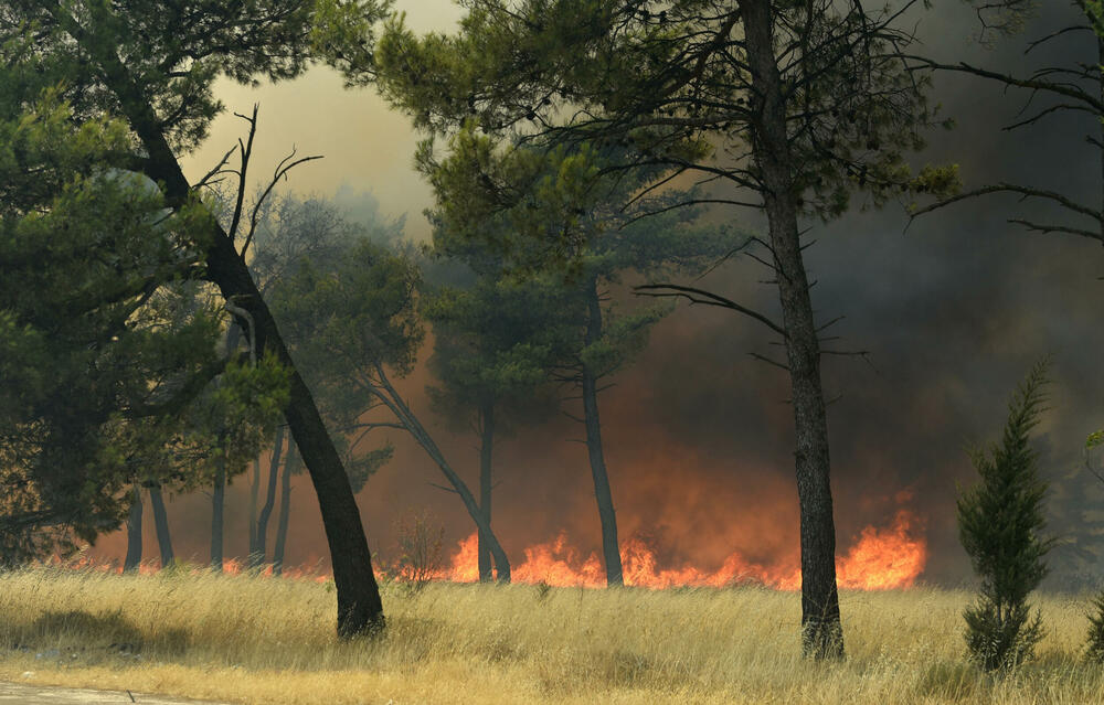 <p>Na teren su izašli svi raspoloživi kapacitieti Službe zaštite i spašavanja Glavnog grada</p>