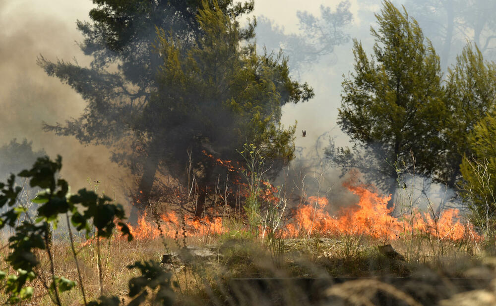 <p>Na teren su izašli svi raspoloživi kapacitieti Službe zaštite i spašavanja Glavnog grada</p>