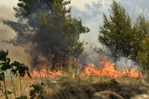 Crna Gora i dalje nema kanader: Požari širom države, vatrogasci na...