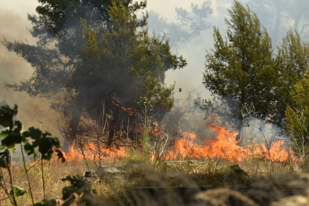 Požar na Ćemovskom polju, Foto: Boris Pejović