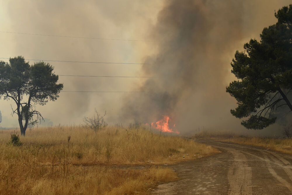 <p>Na teren su izašli svi raspoloživi kapacitieti Službe zaštite i spašavanja Glavnog grada</p>