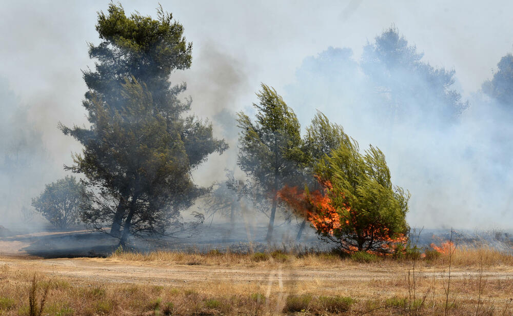 <p>Na teren su izašli svi raspoloživi kapacitieti Službe zaštite i spašavanja Glavnog grada</p>
