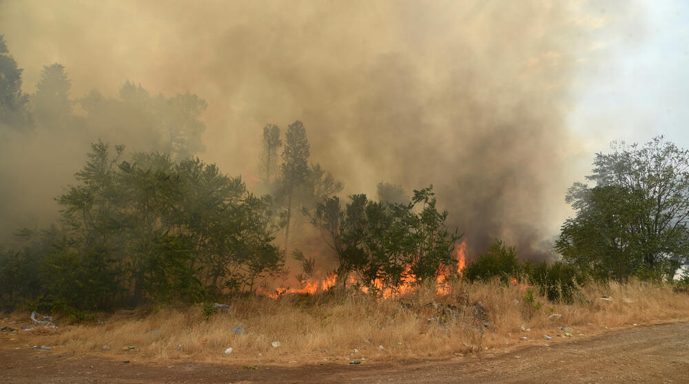 <p>Na teren su izašli svi raspoloživi kapacitieti Službe zaštite i spašavanja Glavnog grada</p>