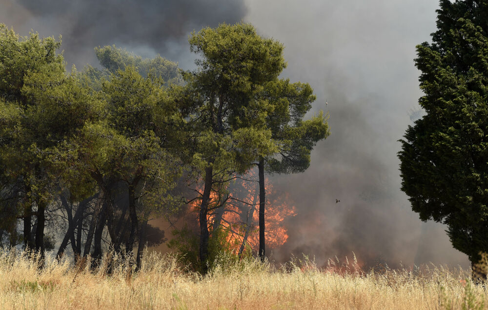 <p>Na teren su izašli svi raspoloživi kapacitieti Službe zaštite i spašavanja Glavnog grada</p>