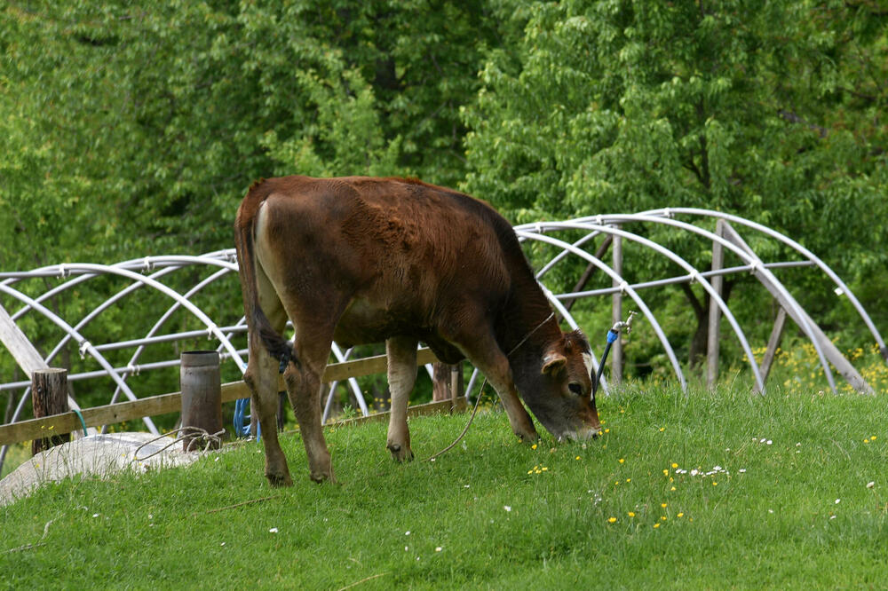 Osinvanjem Agencije i sistema se zatvara i Poglavlje 11(Ilustracija), Foto: BORIS PEJOVIC
