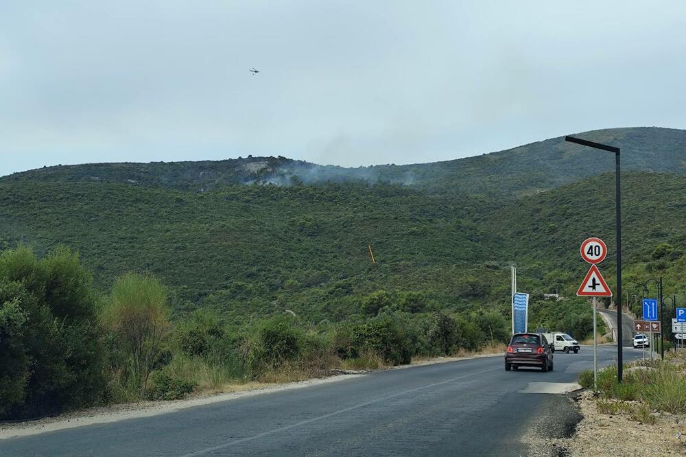 Detalj sa Luštice, Foto: Siniša Luković