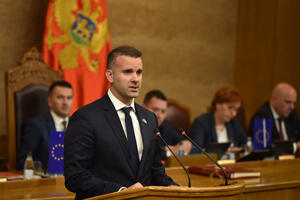 BLOG Spajić: Danas neću odgovarati na pitanja poslanika; Živković:...