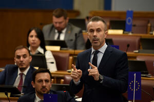 Bogdanović: Demokrate neće podržati predlog da Mirjana Vučinić...