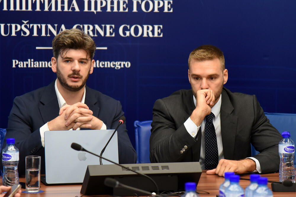 Kopredsjedavajući Vasilije Čarapić i Nikola Rakočević, Foto: Luka Zeković